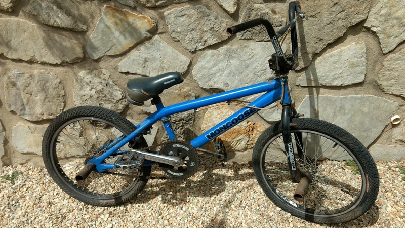 mongoose mischief price